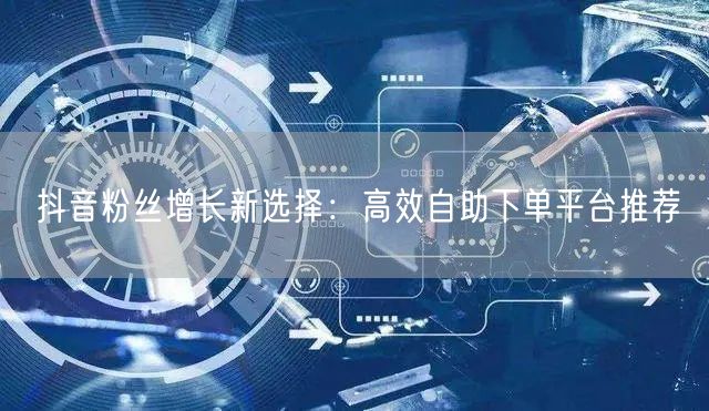 抖音粉丝增长新选择：高效自助下单平台推荐